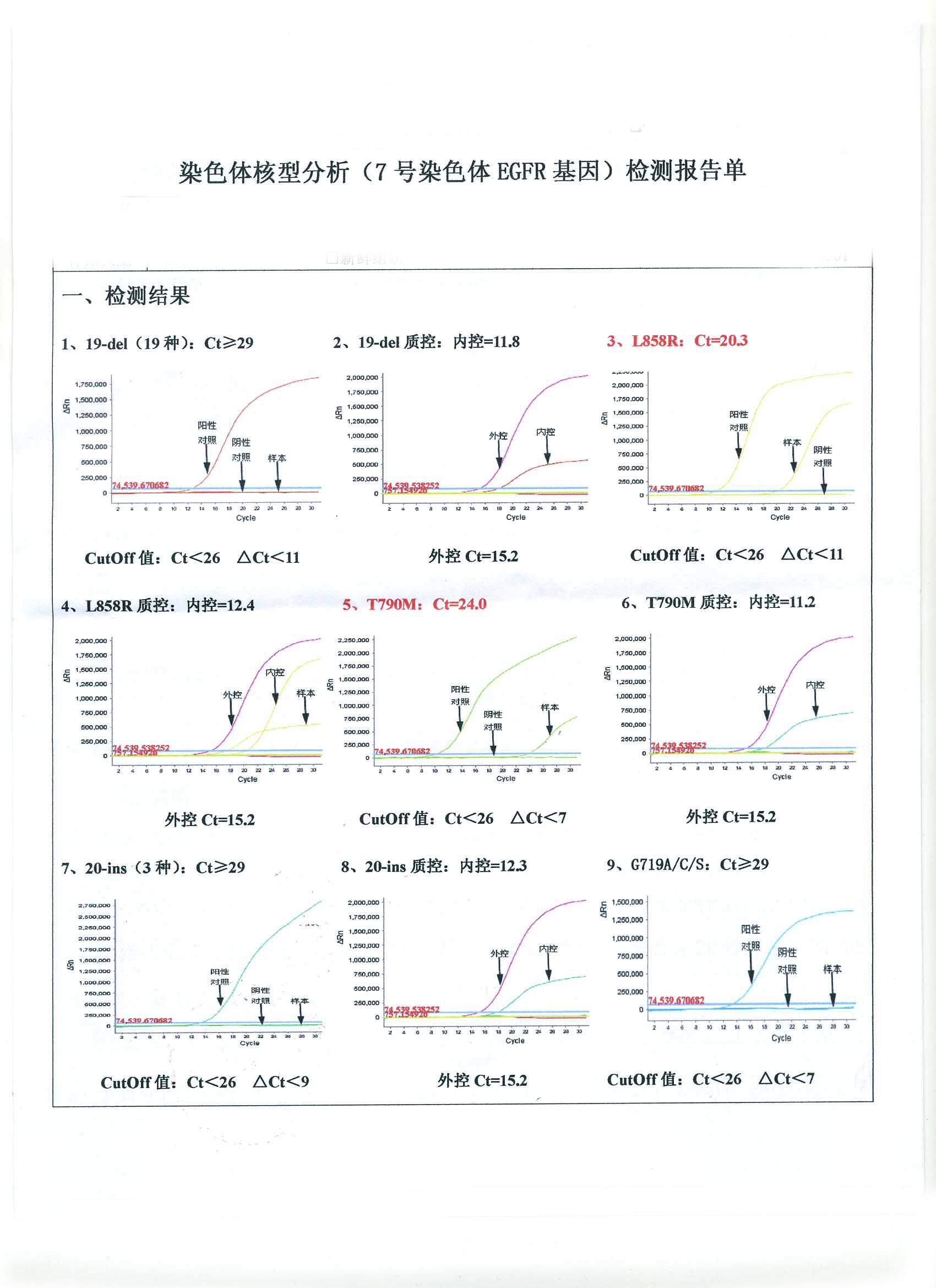 307-外周血1.jpg