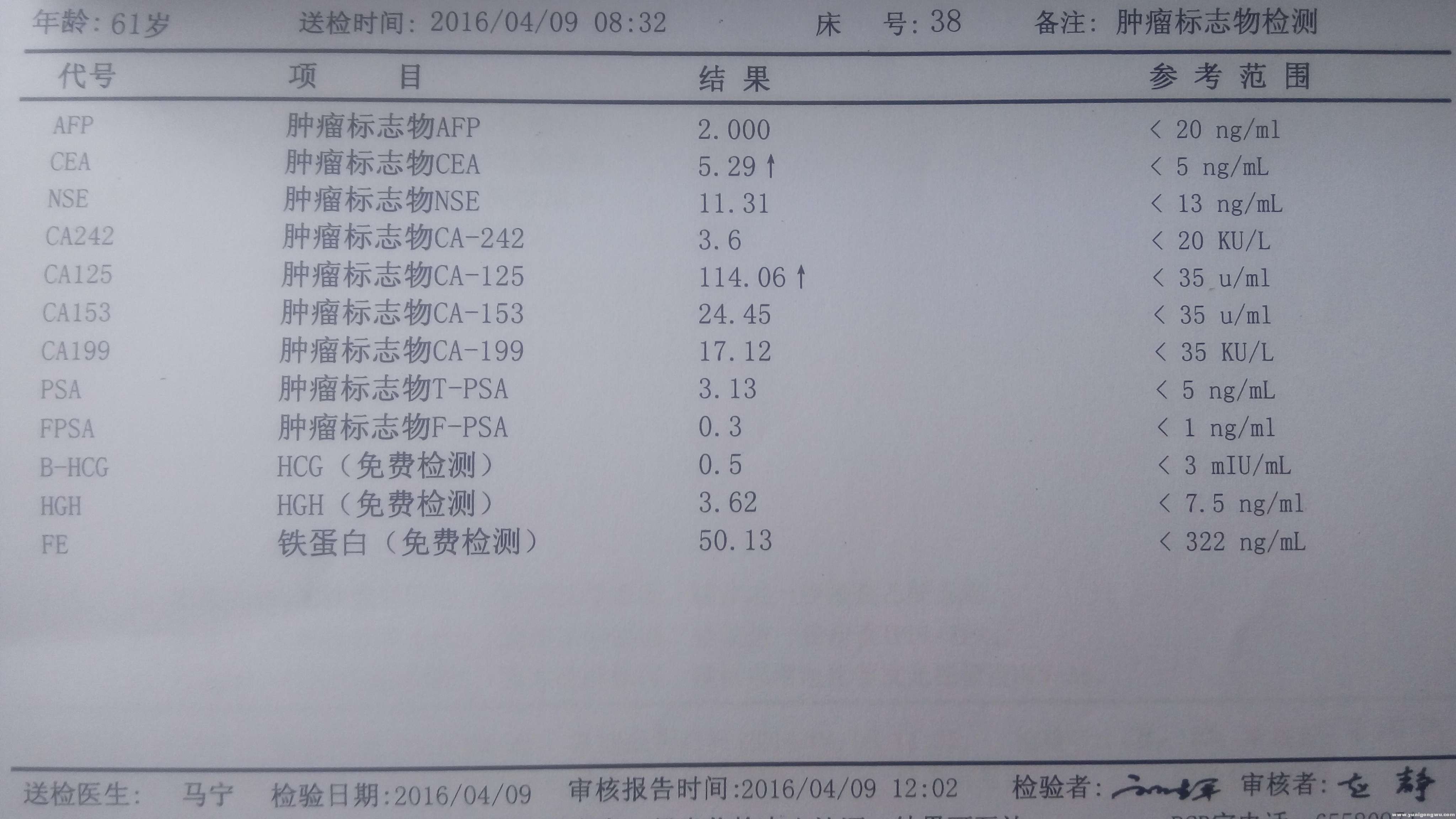 检测报告