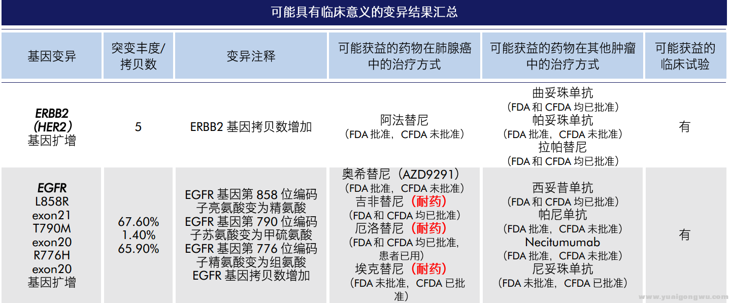 基因测序截图