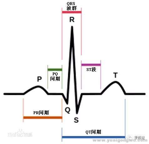 图片来源：百度百科