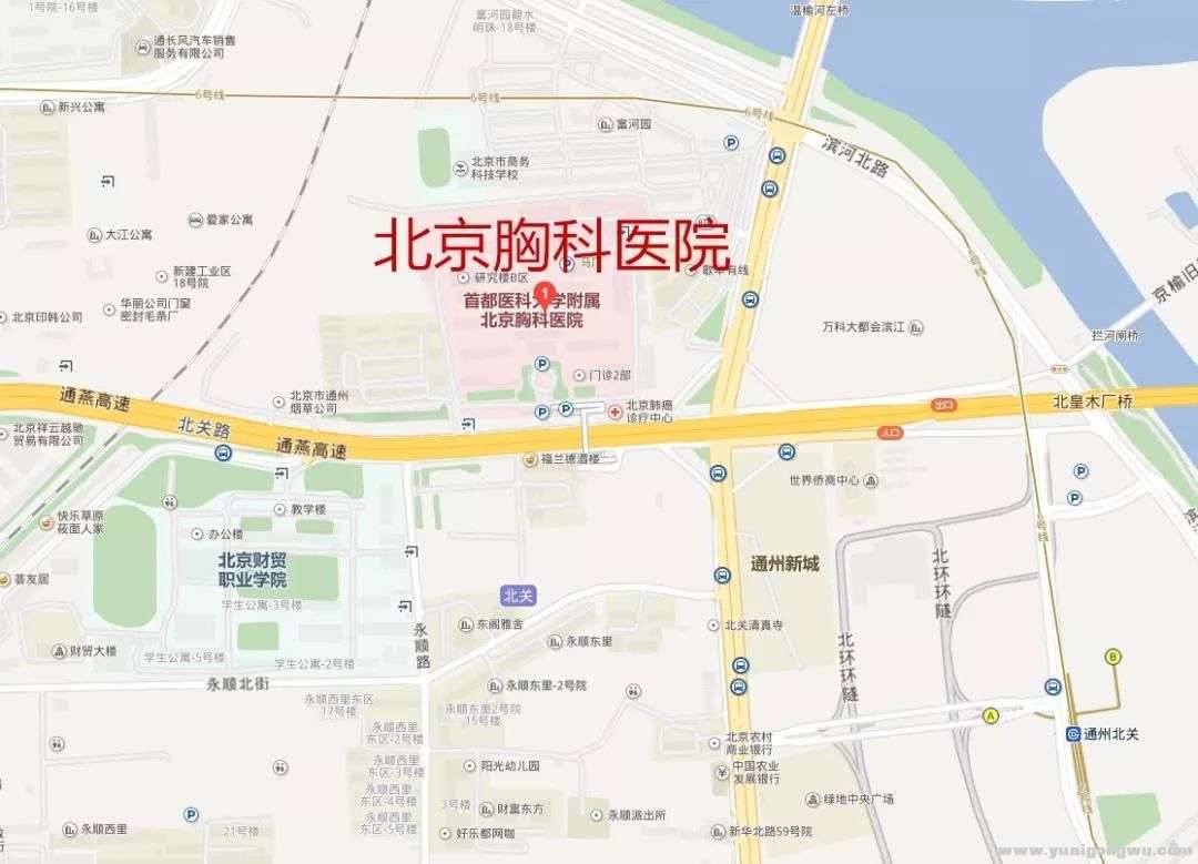 北京市胸科医院2.jpg