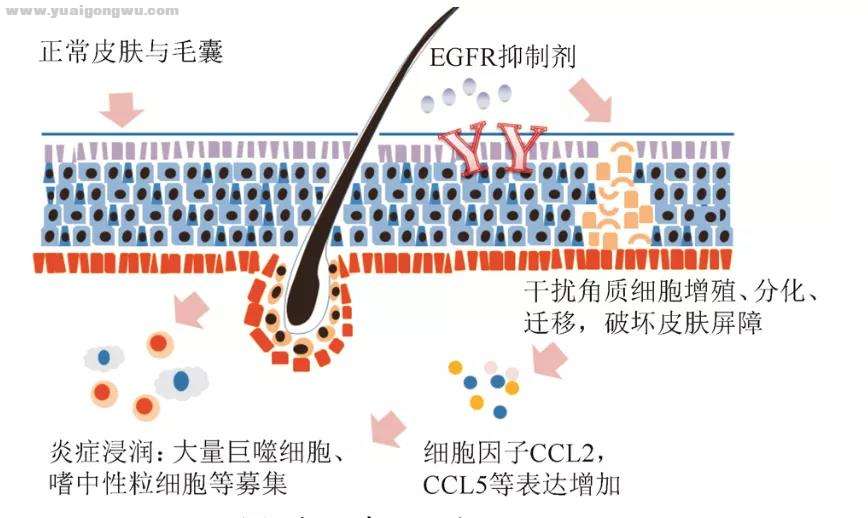 微信图片_20201218173747.jpg