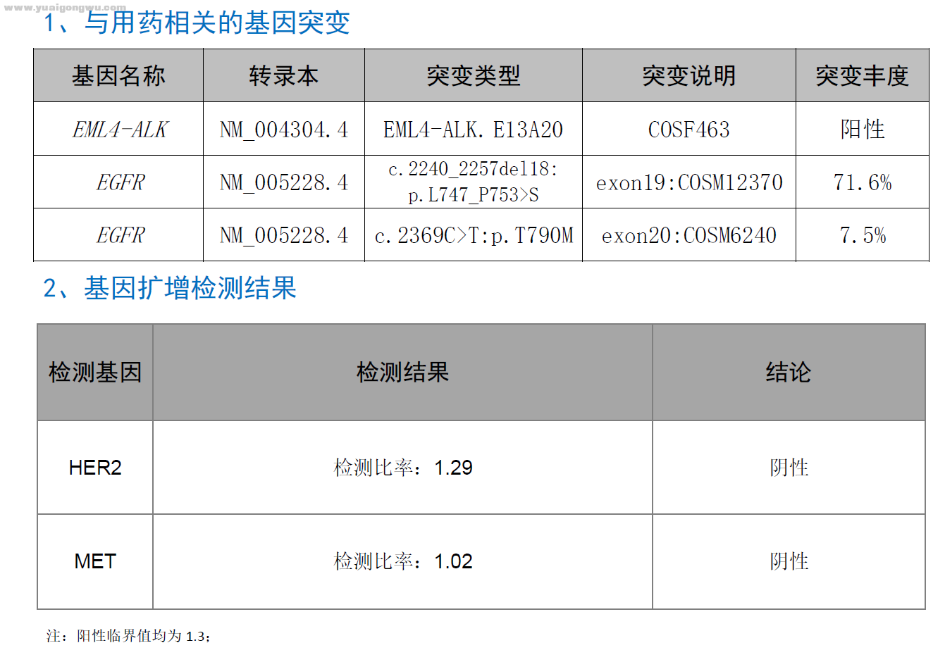 凯美那耐药时基因检测报告（首次检出ALK，不确定丰度）